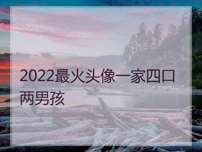 2022最火头像一家四口两男孩