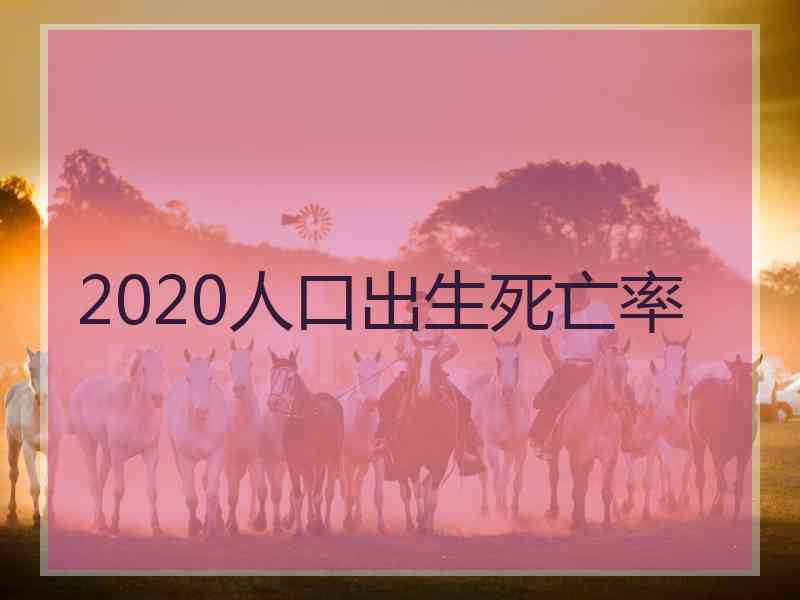 2020人口出生死亡率