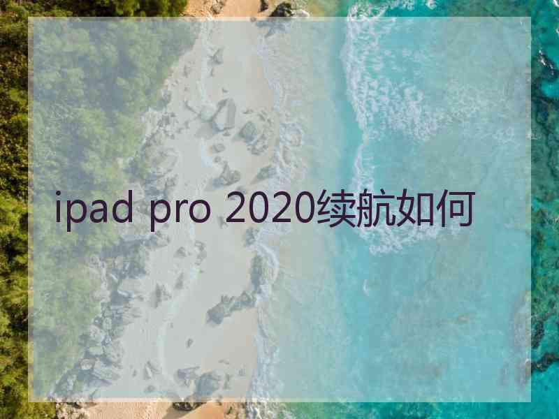 ipad pro 2020续航如何