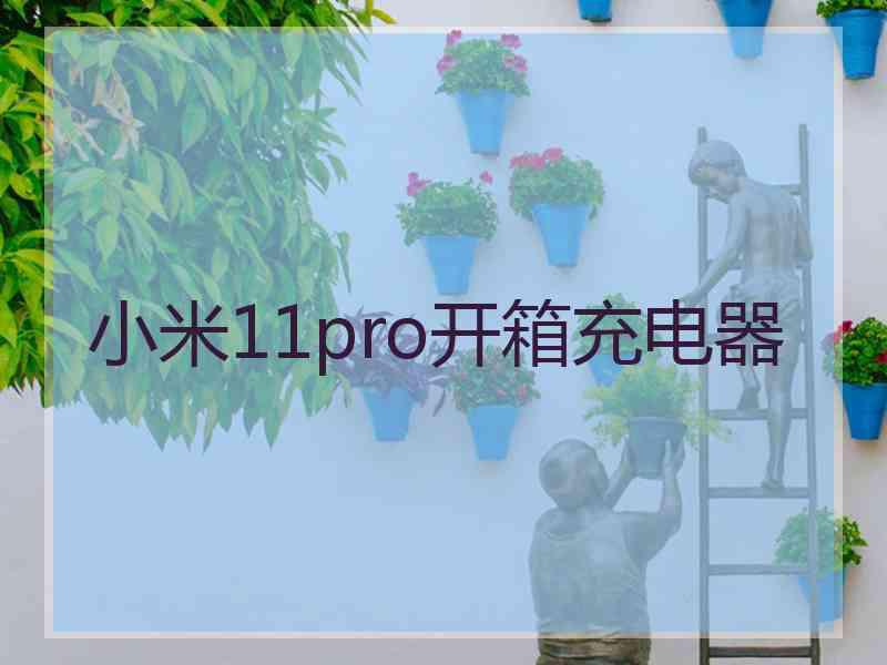 小米11pro开箱充电器