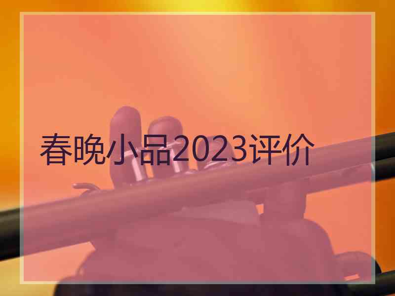 春晚小品2023评价