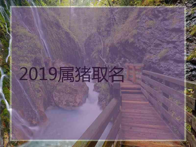 2019属猪取名