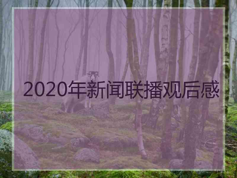 2020年新闻联播观后感