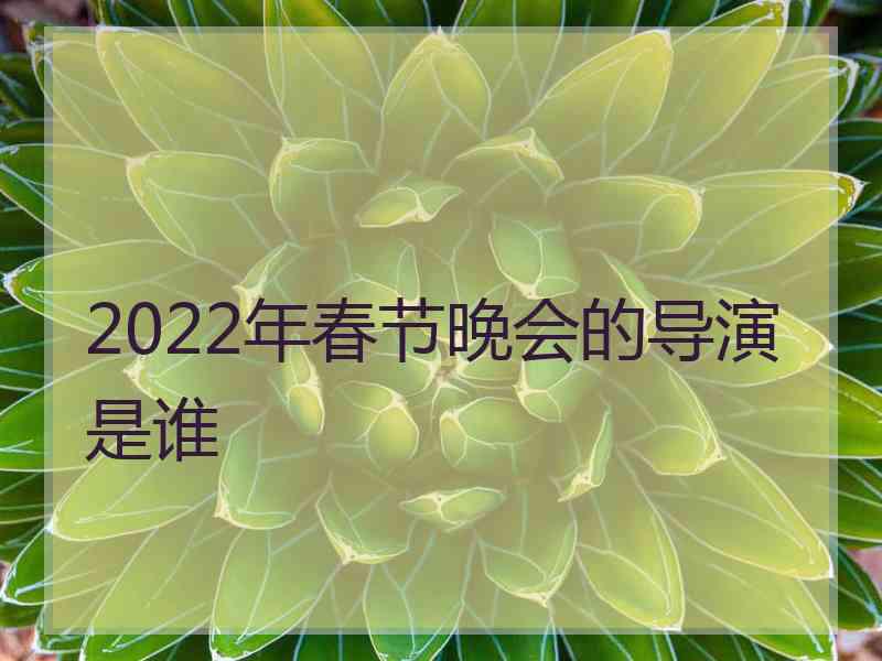 2022年春节晚会的导演是谁