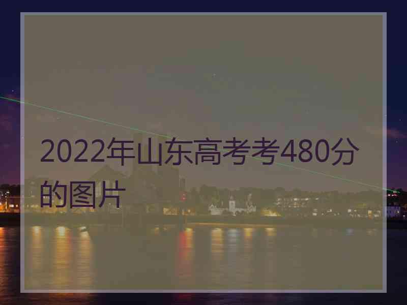 2022年山东高考考480分的图片