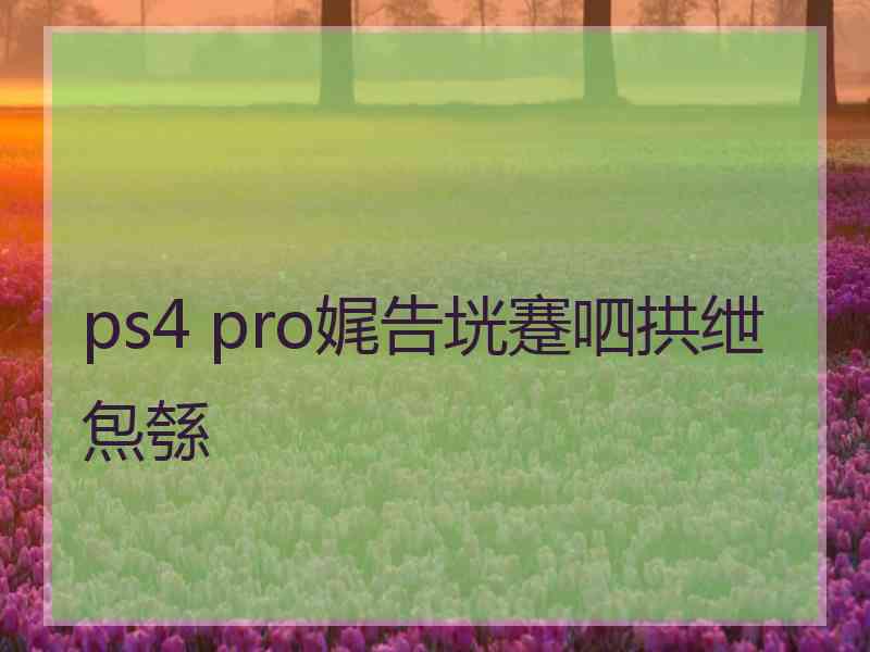 ps4 pro娓告垙蹇呬拱绁炰綔