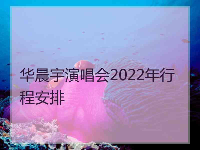 华晨宇演唱会2022年行程安排