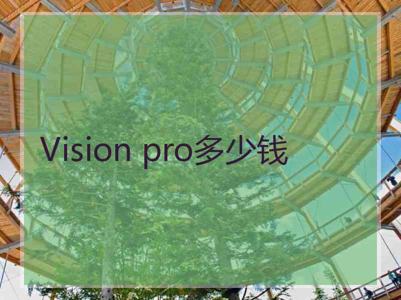 Vision pro多少钱