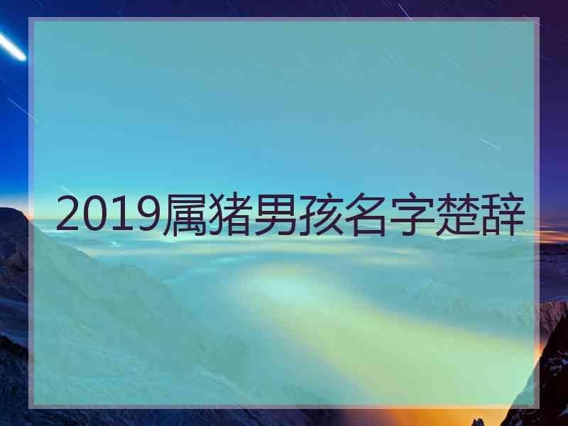 2019属猪男孩名字楚辞