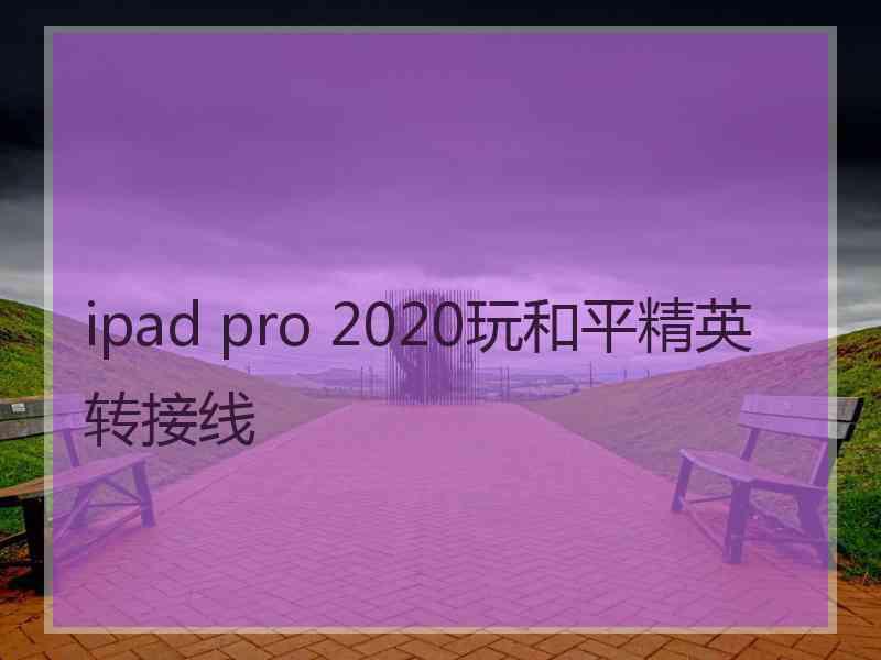 ipad pro 2020玩和平精英转接线