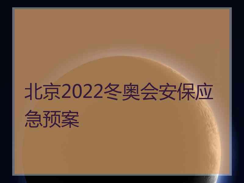 北京2022冬奥会安保应急预案