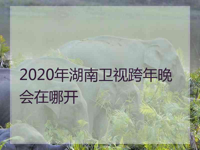 2020年湖南卫视跨年晚会在哪开