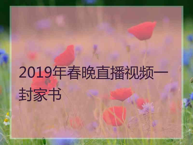 2019年春晚直播视频一封家书