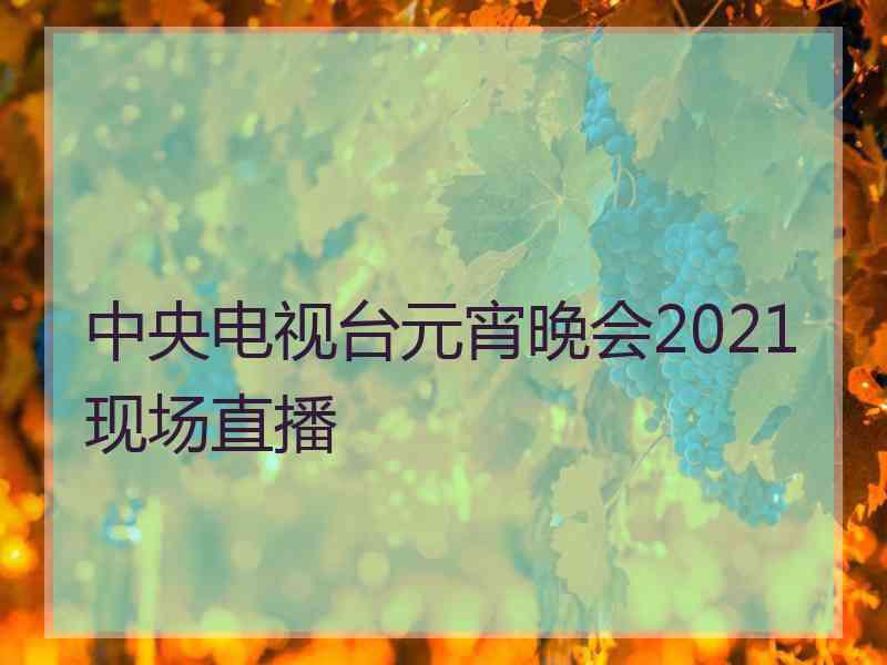 中央电视台元宵晚会2021现场直播