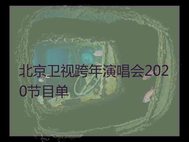 北京卫视跨年演唱会2020节目单