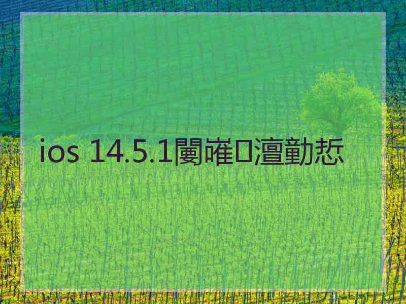 ios 14.5.1闄嶉澶勭悊