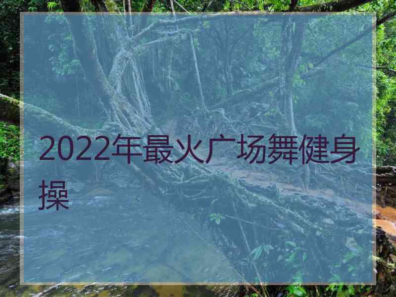 2022年最火广场舞健身操