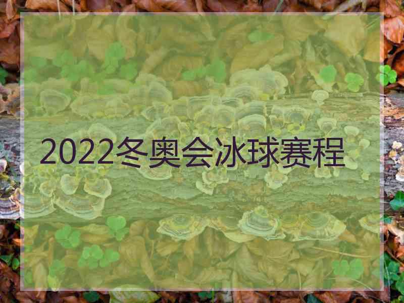 2022冬奥会冰球赛程