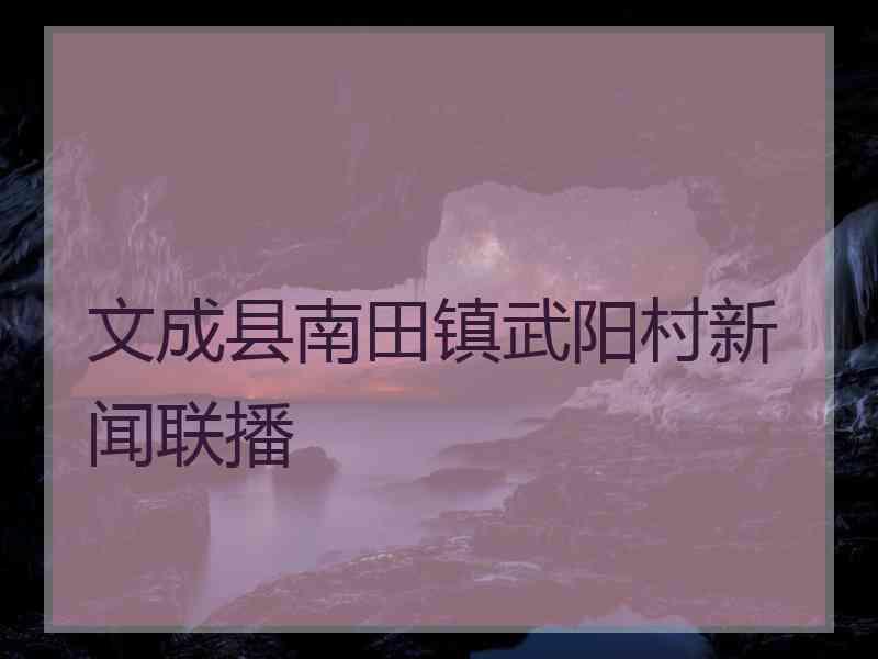 文成县南田镇武阳村新闻联播