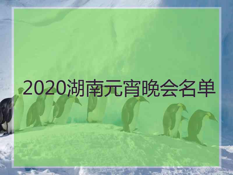 2020湖南元宵晚会名单