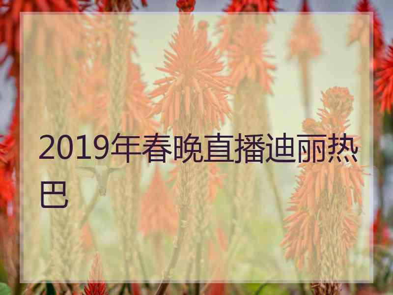 2019年春晚直播迪丽热巴