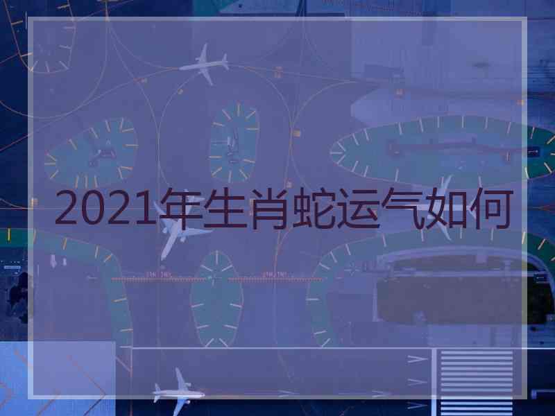 2021年生肖蛇运气如何