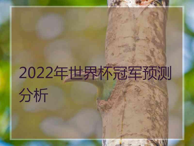 2022年世界杯冠军预测分析