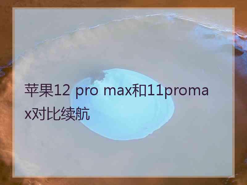 苹果12 pro max和11promax对比续航