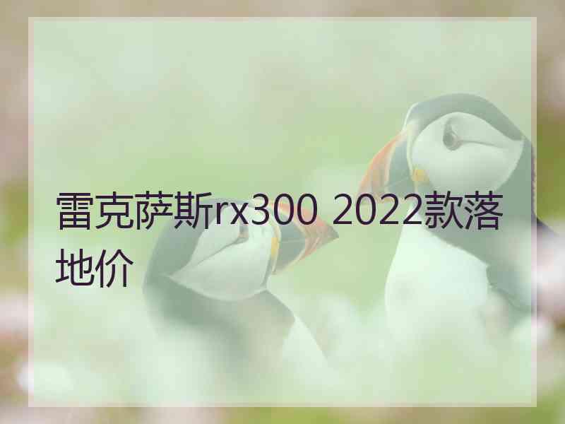 雷克萨斯rx300 2022款落地价