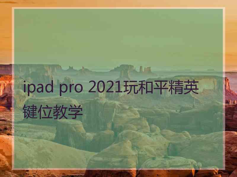 ipad pro 2021玩和平精英键位教学