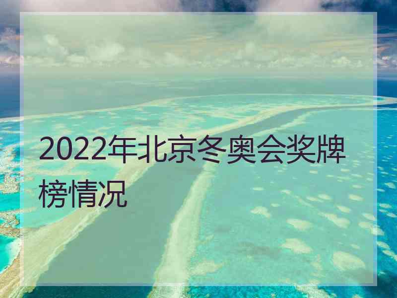 2022年北京冬奥会奖牌榜情况