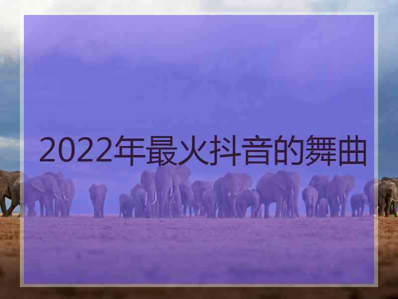 2022年最火抖音的舞曲