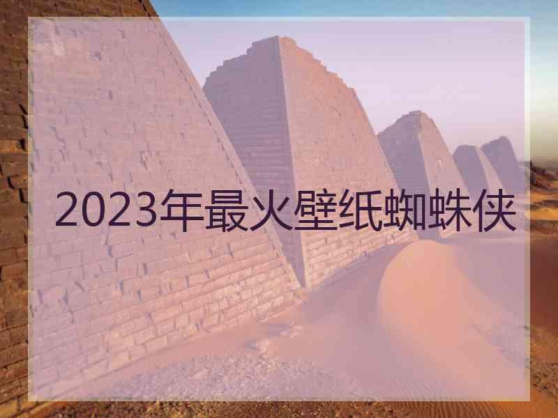 2023年最火壁纸蜘蛛侠