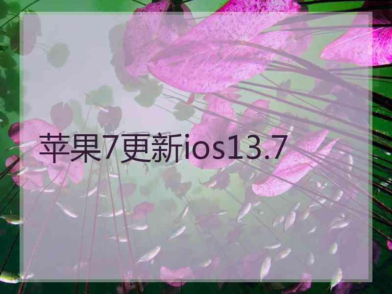 苹果7更新ios13.7