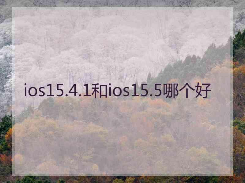 ios15.4.1和ios15.5哪个好