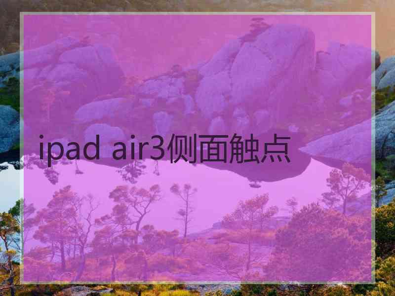 ipad air3侧面触点