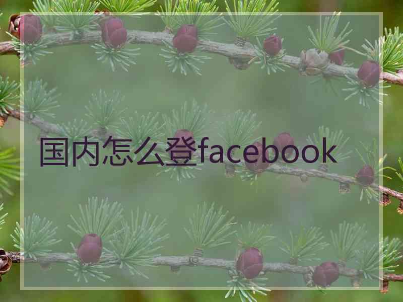 国内怎么登facebook