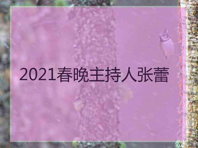 2021春晚主持人张蕾