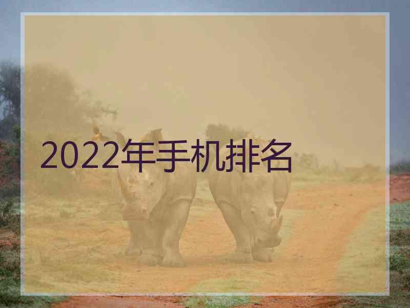 2022年手机排名