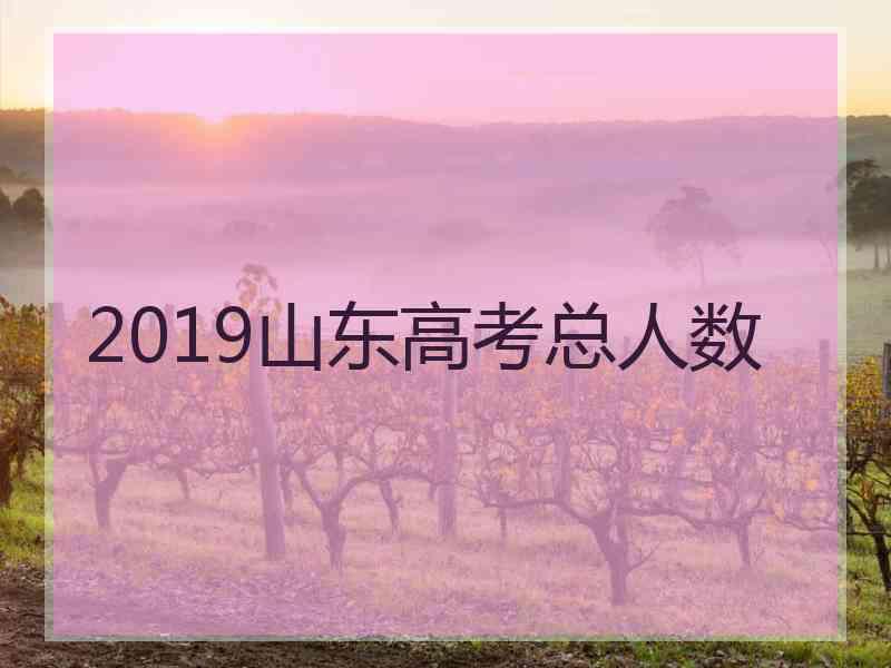 2019山东高考总人数