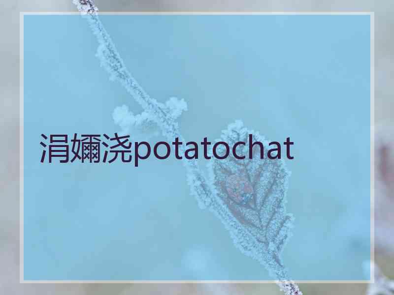 涓嬭浇potatochat