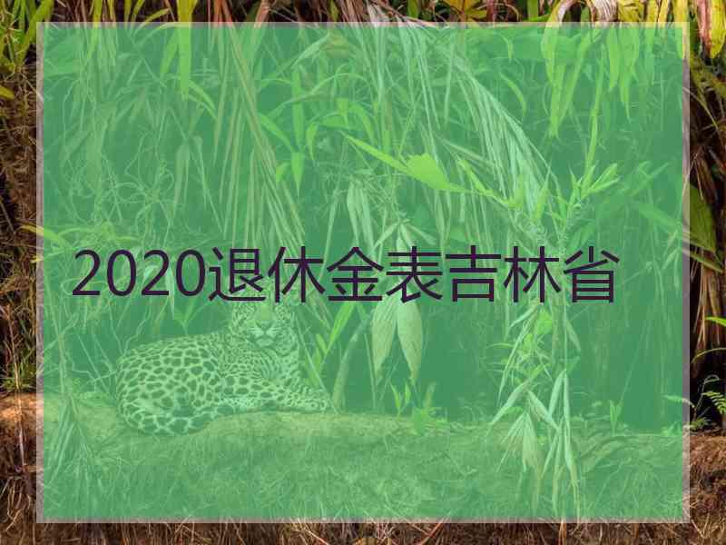 2020退休金表吉林省