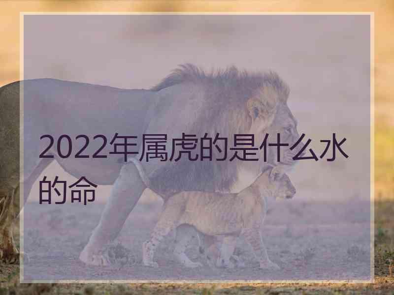 2022年属虎的是什么水的命