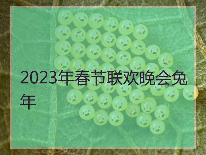 2023年春节联欢晚会兔年