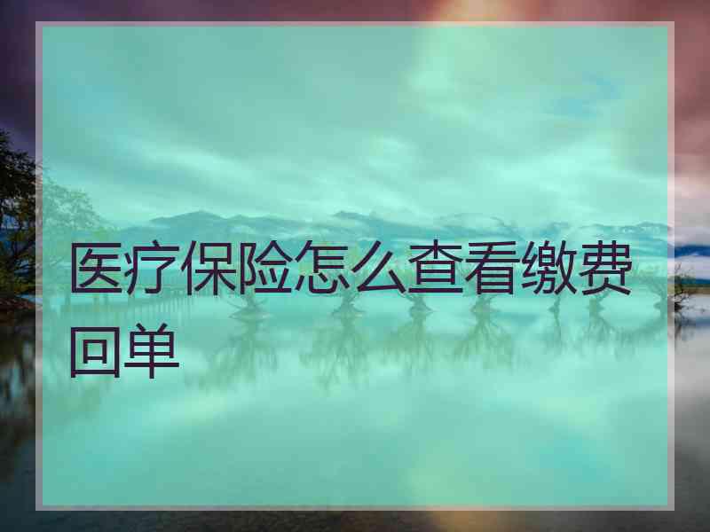 医疗保险怎么查看缴费回单