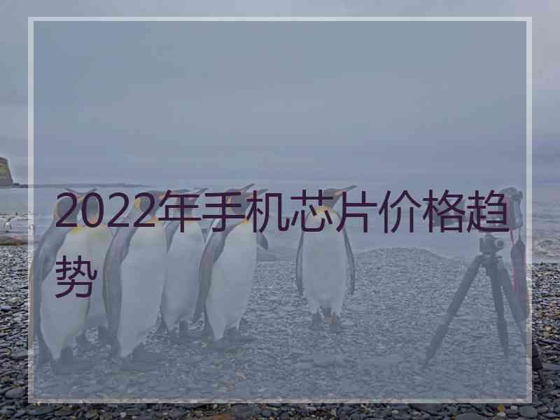 2022年手机芯片价格趋势