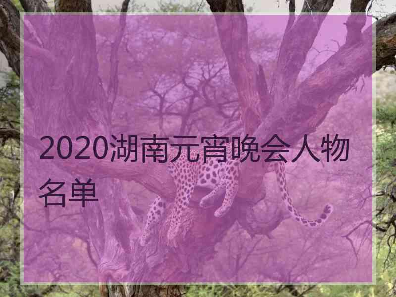 2020湖南元宵晚会人物名单