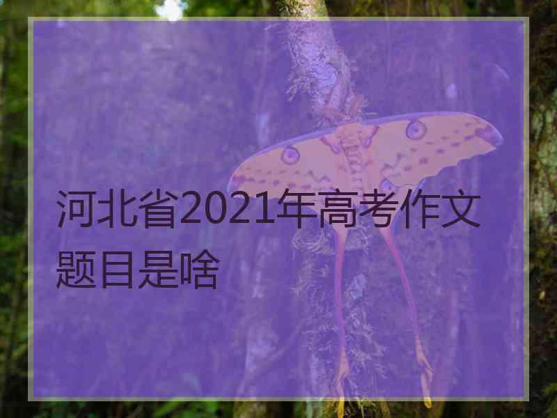 河北省2021年高考作文题目是啥