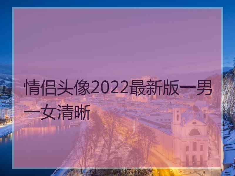 情侣头像2022最新版一男一女清晰