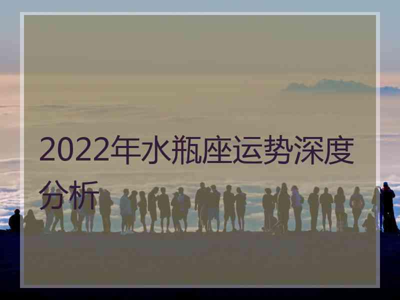 2022年水瓶座运势深度分析